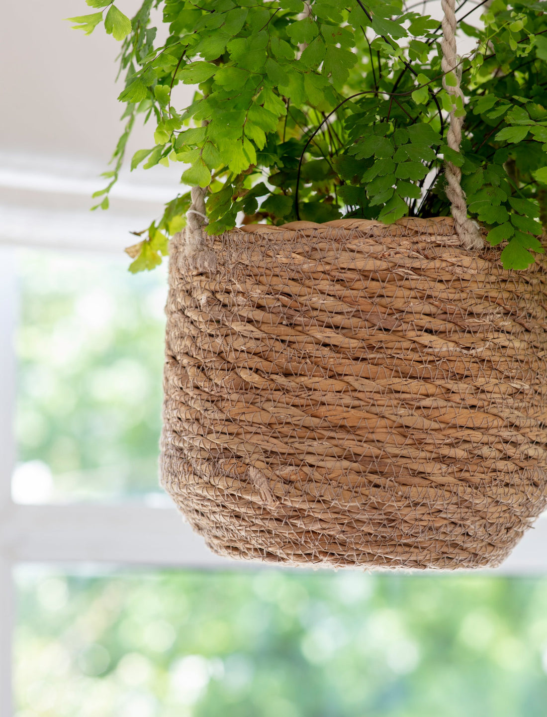 Vertical Garden | Small Garden | Herb Garden