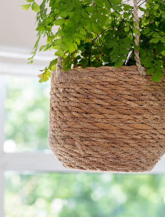 Vertical Garden | Small Garden | Herb Garden