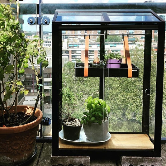Juliana Greenhouse | Balcony Garden | Balcony Greenhouse