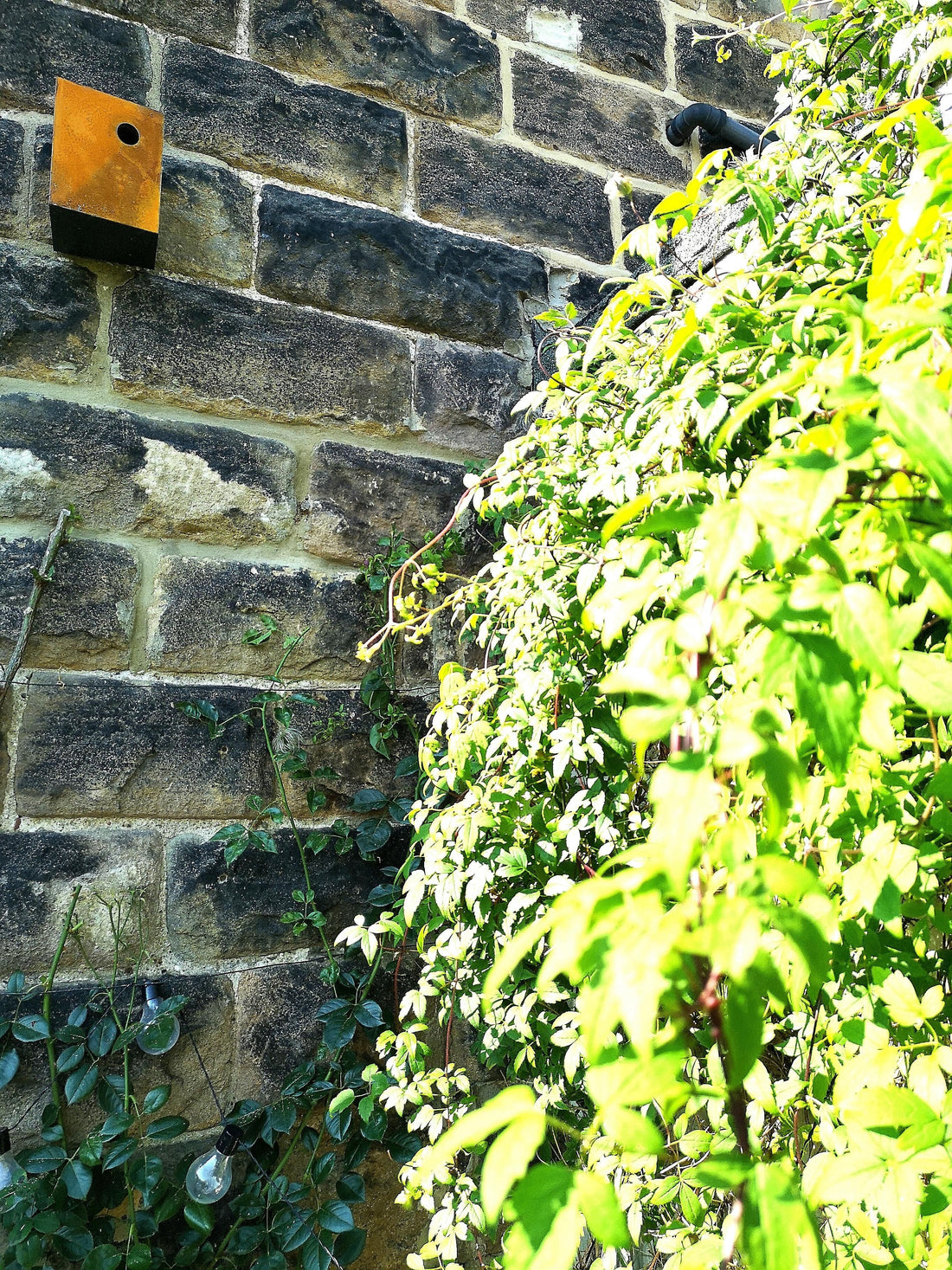 Nestbox | Bird Box | John Hollington