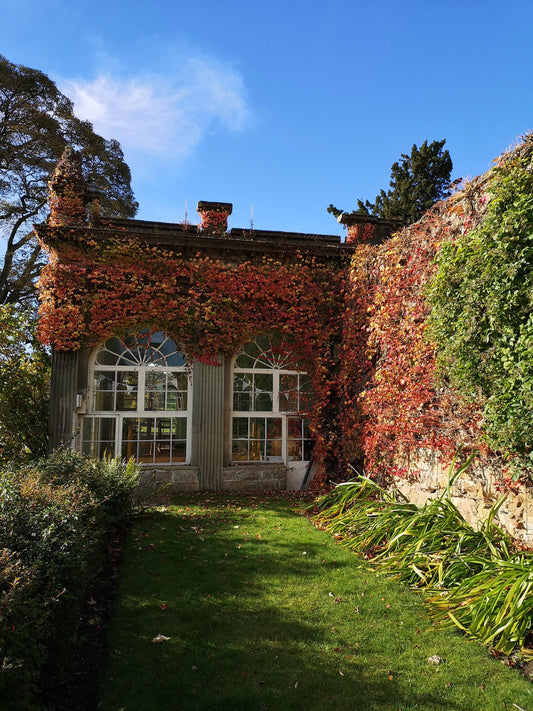Walled Garden | Walled Garden Yorkshire
