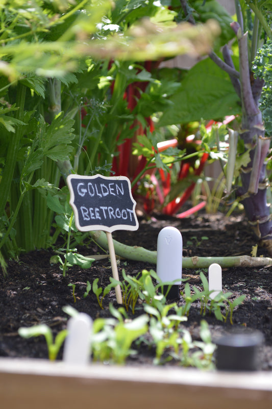 Compost | Grow Your Own | Soil