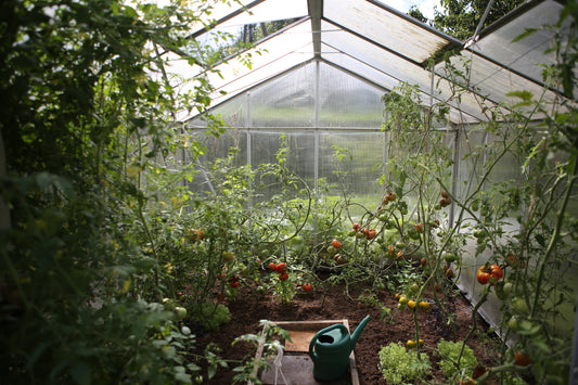 National Allotment Week