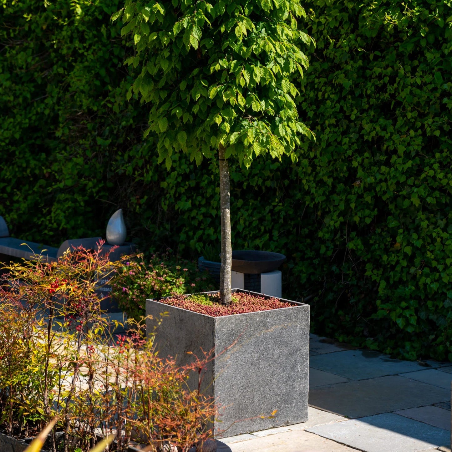 Surmi Slate Box Planter (15001292734849)