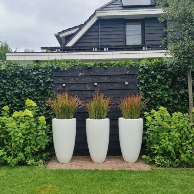 Fibreglass Canna Planter (15016581955969)