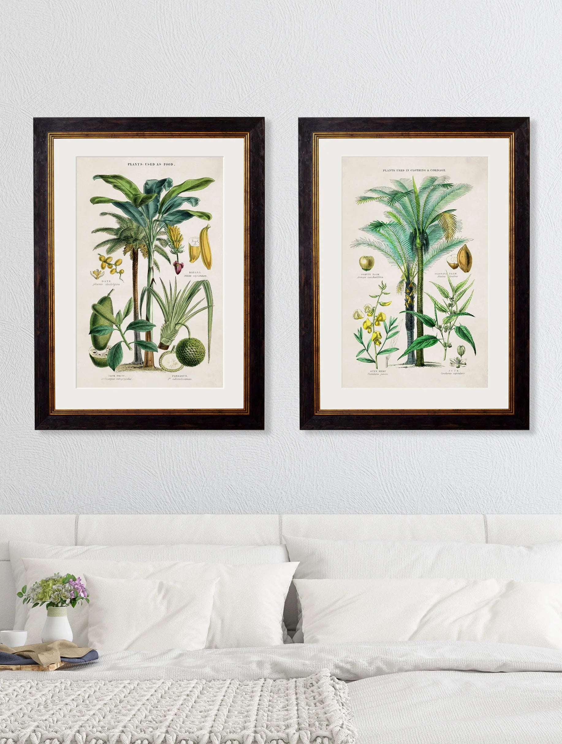 Collection of Tropical Plants Used as Food and Clothing c.1877 Framed Prints (7702933242049)