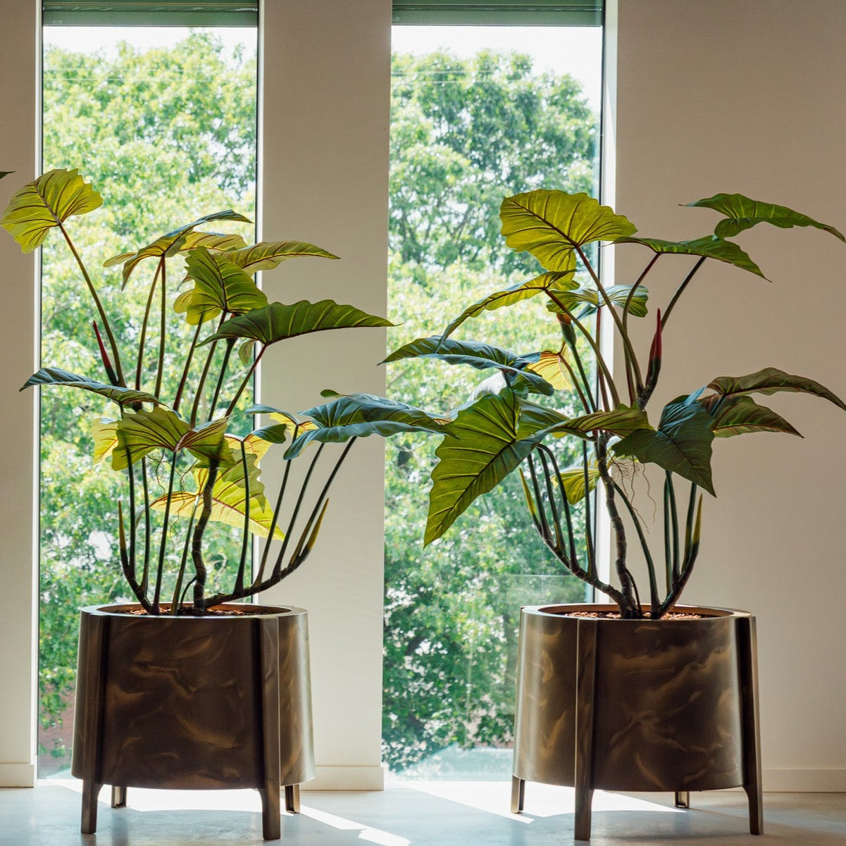 Adezz Aluminium Botan Planter (10148547002561)