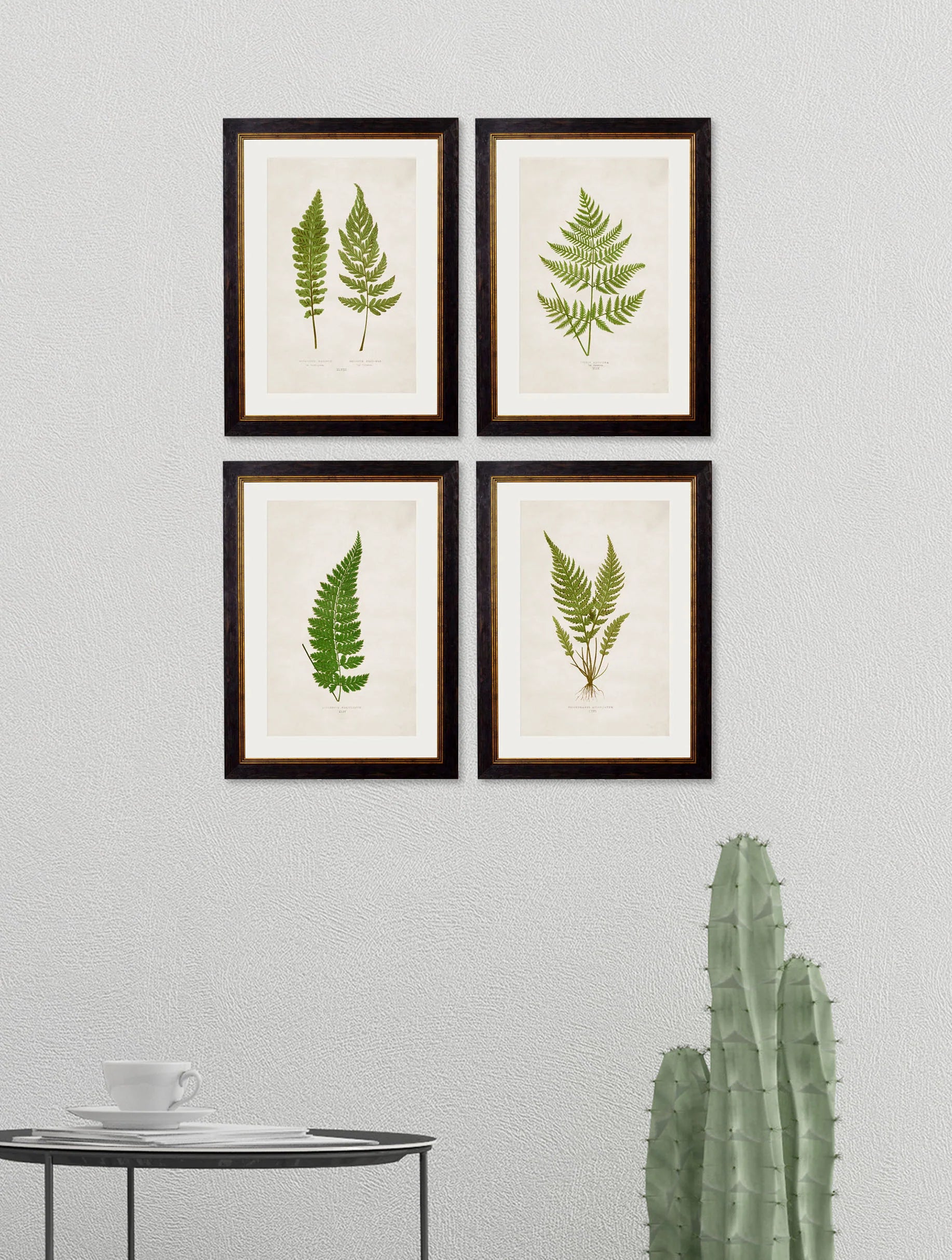 British Ferns c.1864 Framed Prints (7702908862657)