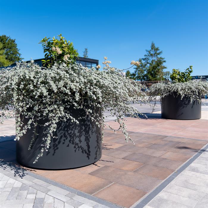 Adezz Circum Aluminium Cylinder Planter (10145224720577)