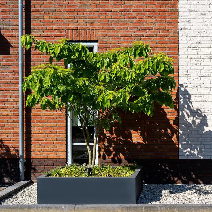 Fibreglass Square Carrez Planter (15020099338625)