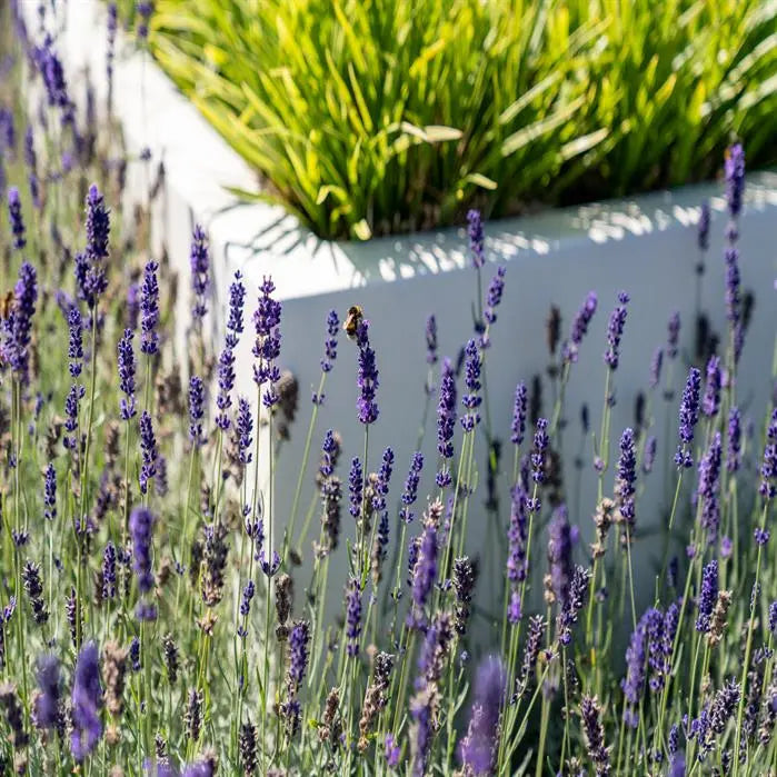Fibreglass Carrez Tower Planter (15016976482689)