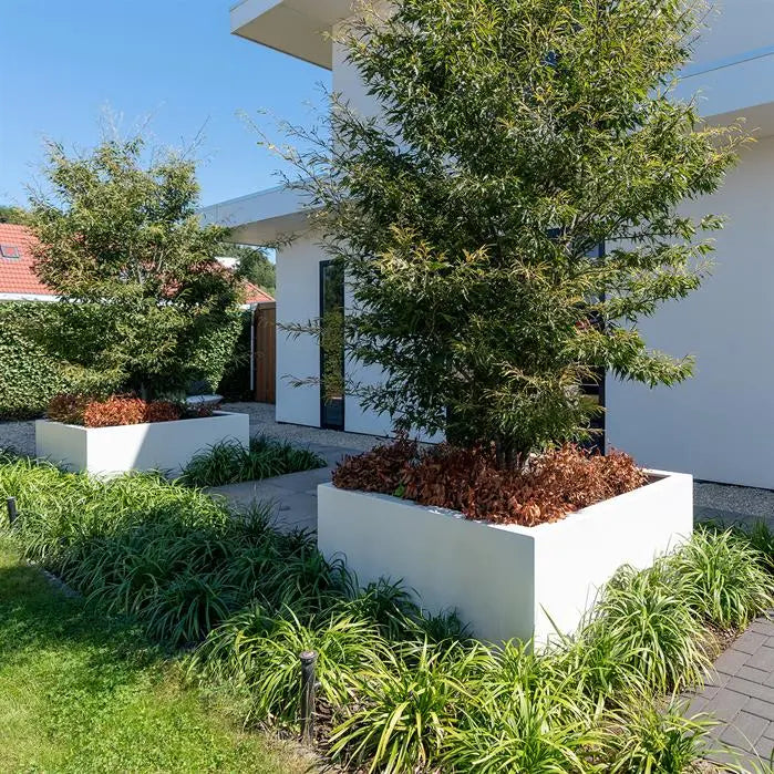 Fibreglass Square Carrez Planter (15020099338625)