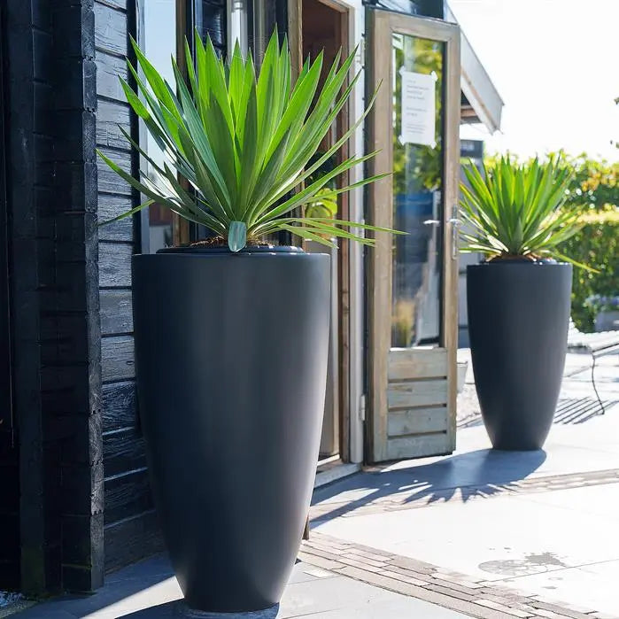 Fibreglass Canna Planter (15016581955969)