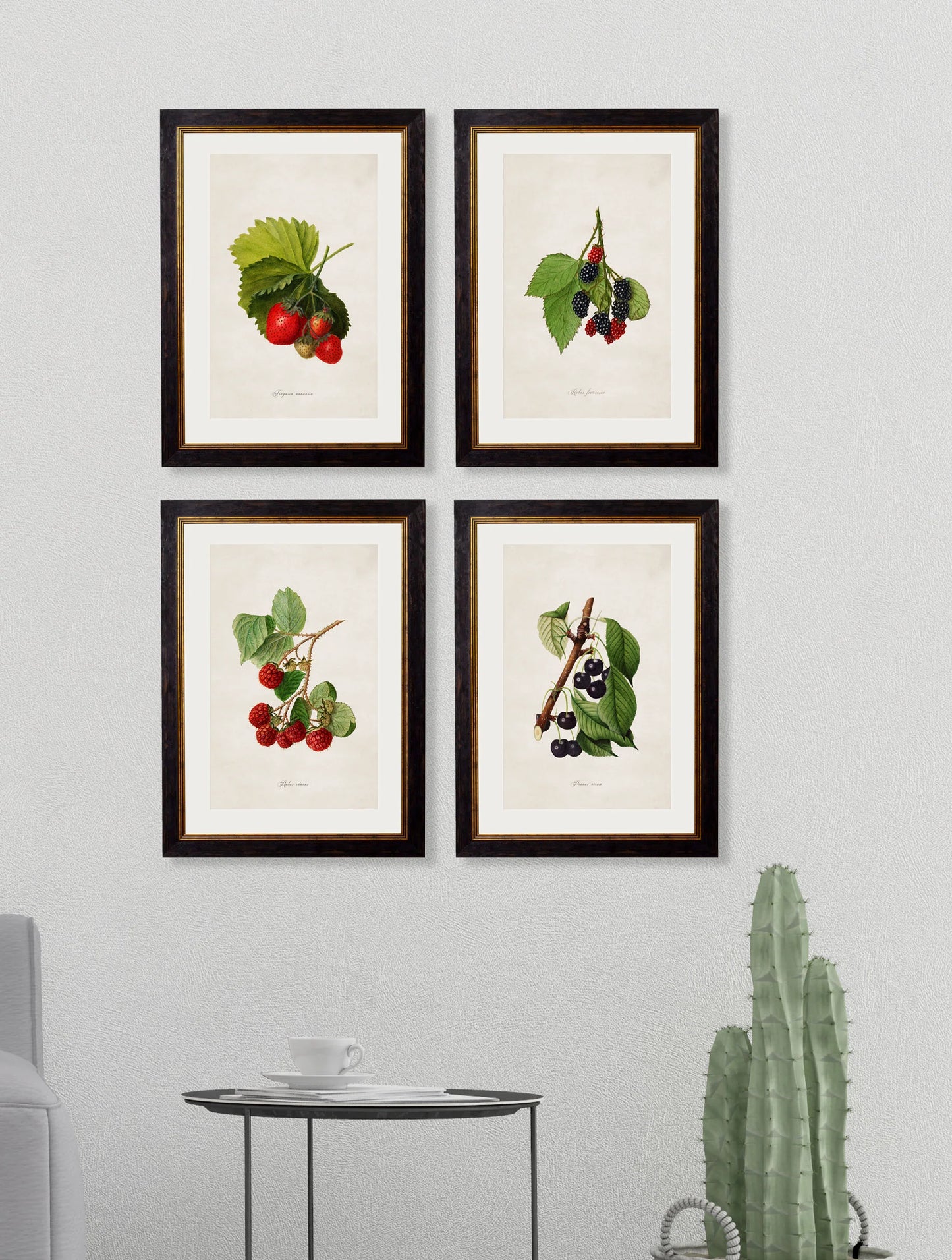 Collection of Berries & Cherries c.1886 Framed Prints (7702950084801)