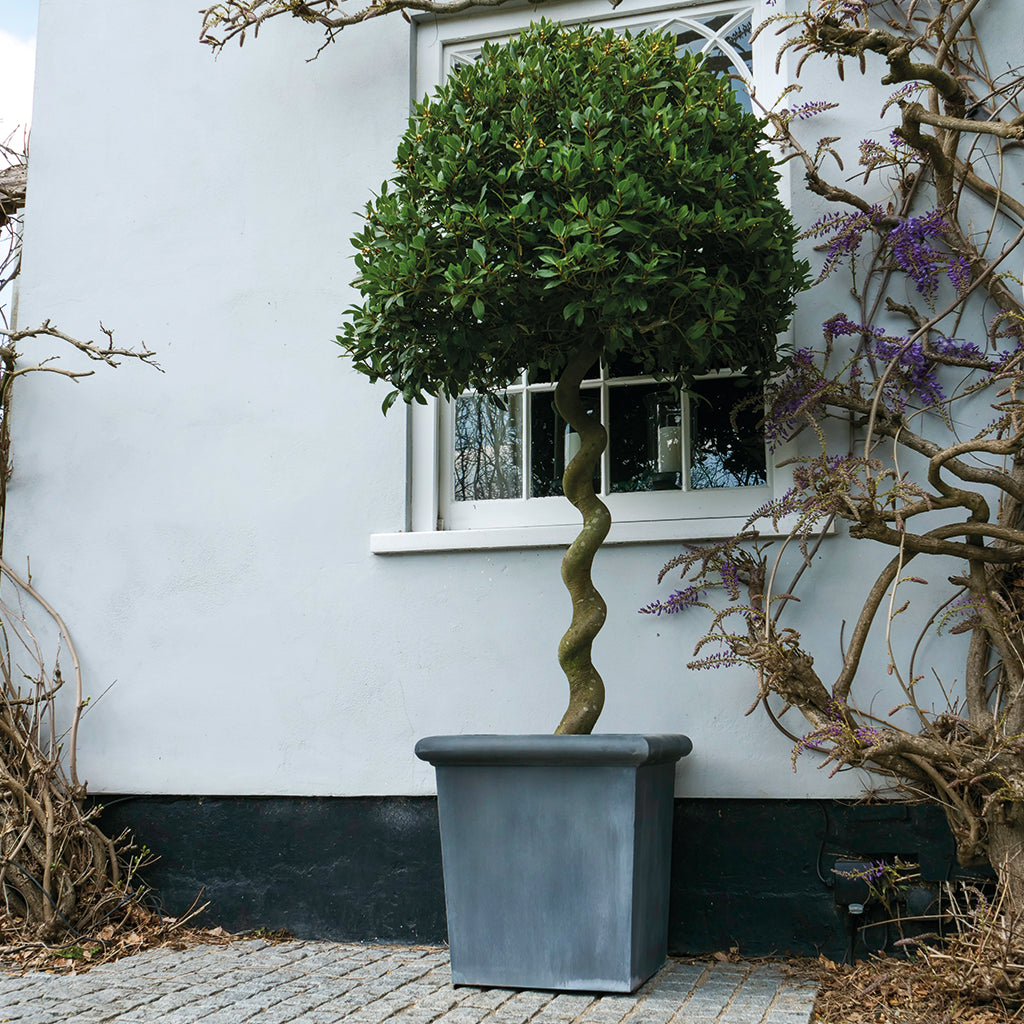 Classic Galvanised Steel Planter (10177668219073)