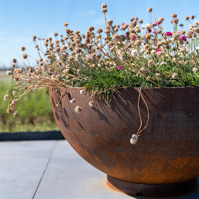 A close up angle of the Adezz Corten Steel Bocca Bowl Planter in front of a scenic landscape background. (7544787730625)