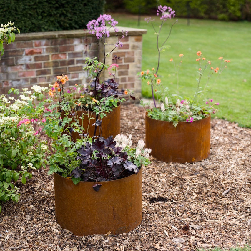 Hackfall Corten Steel Bottomless Cylindrical Planter (7656388788417)