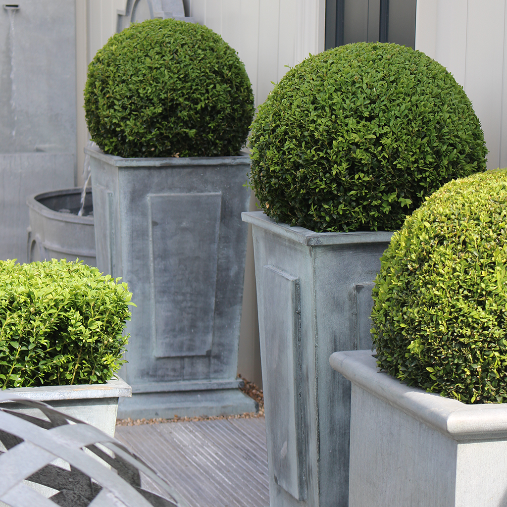Empire Galvanised Steel Planter (10175568609473)