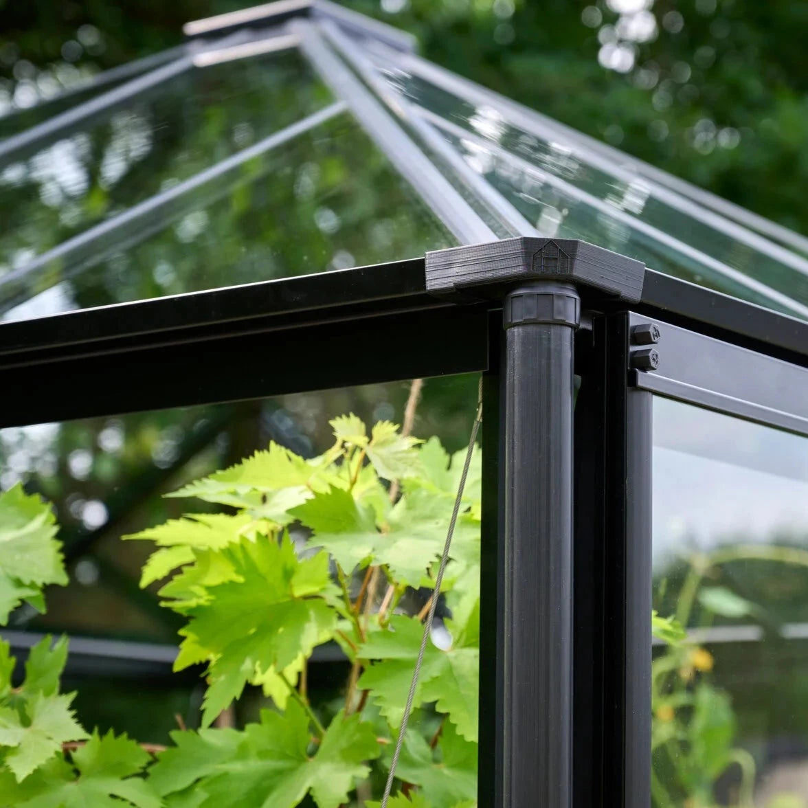 Halls Qube Square Greenhouse (10229106671809)