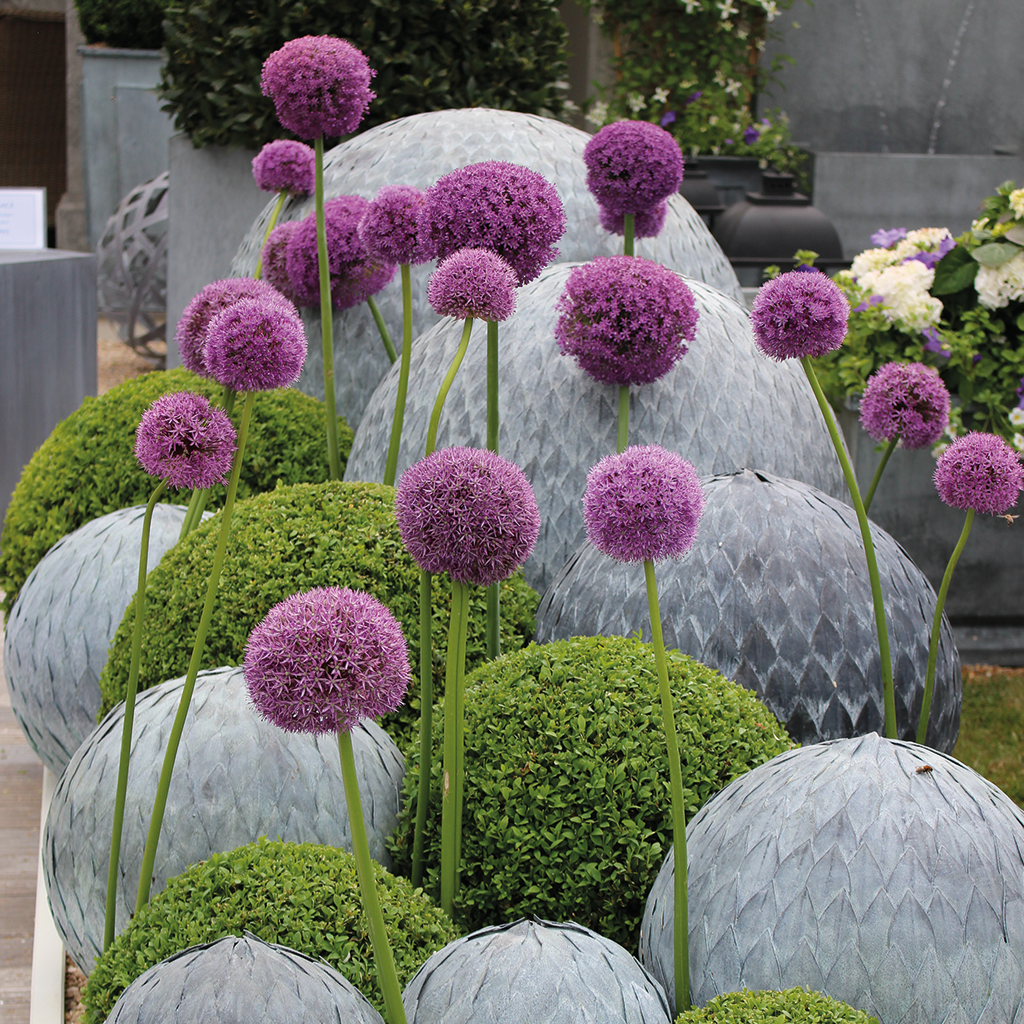Galvanised Steel Leaf Balls (10191400206529)