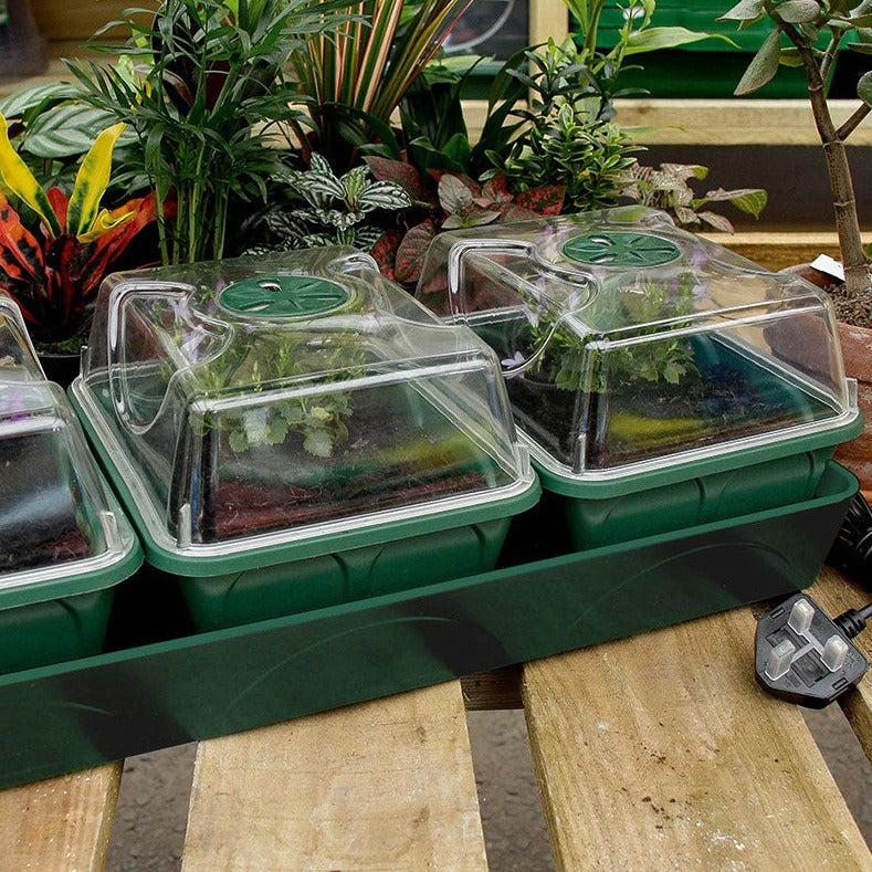 EarlyGrow 3-Bay Self-Watering Heated Propagator (755126108220)