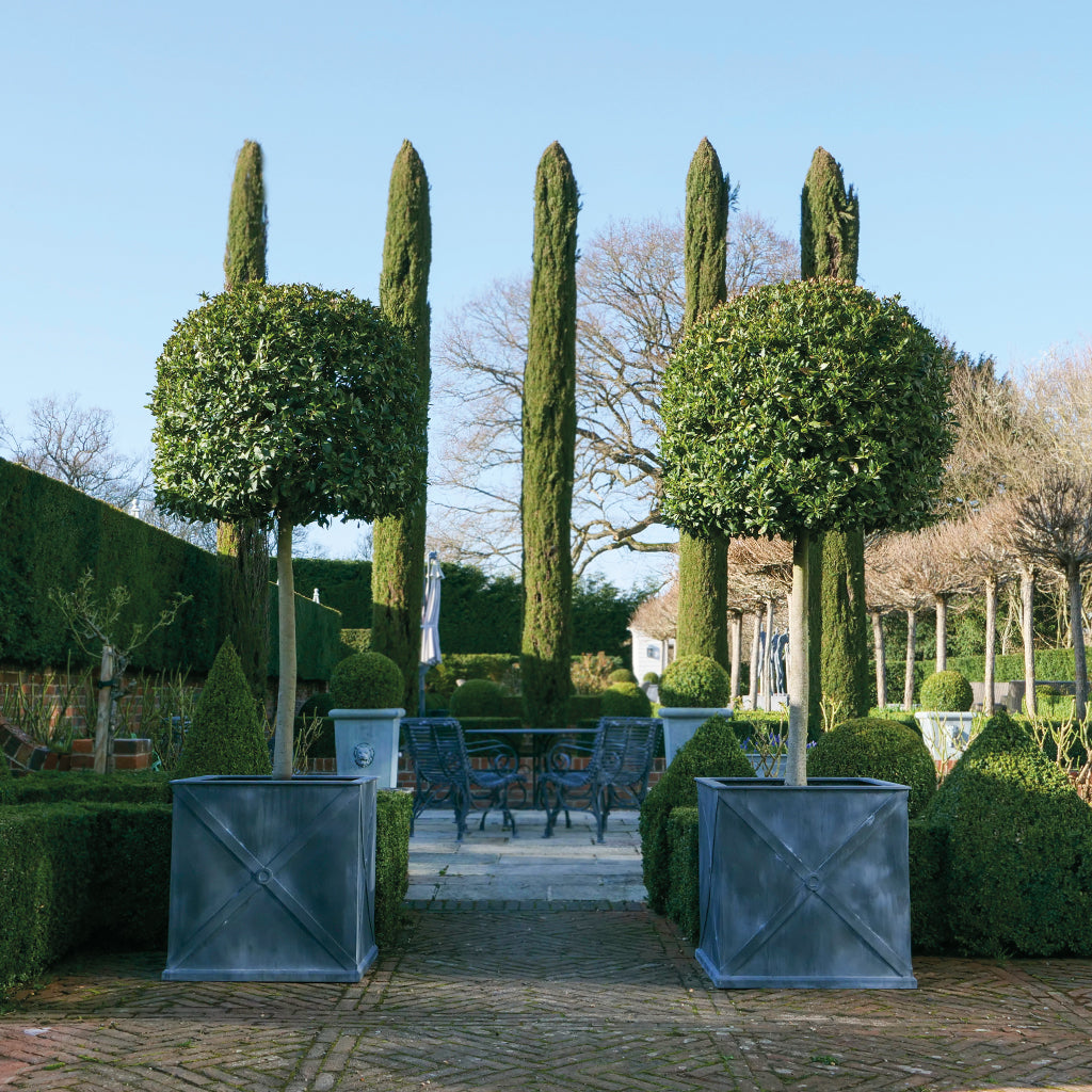 Mayfair Galvanised Steel Planter (10174939758785)