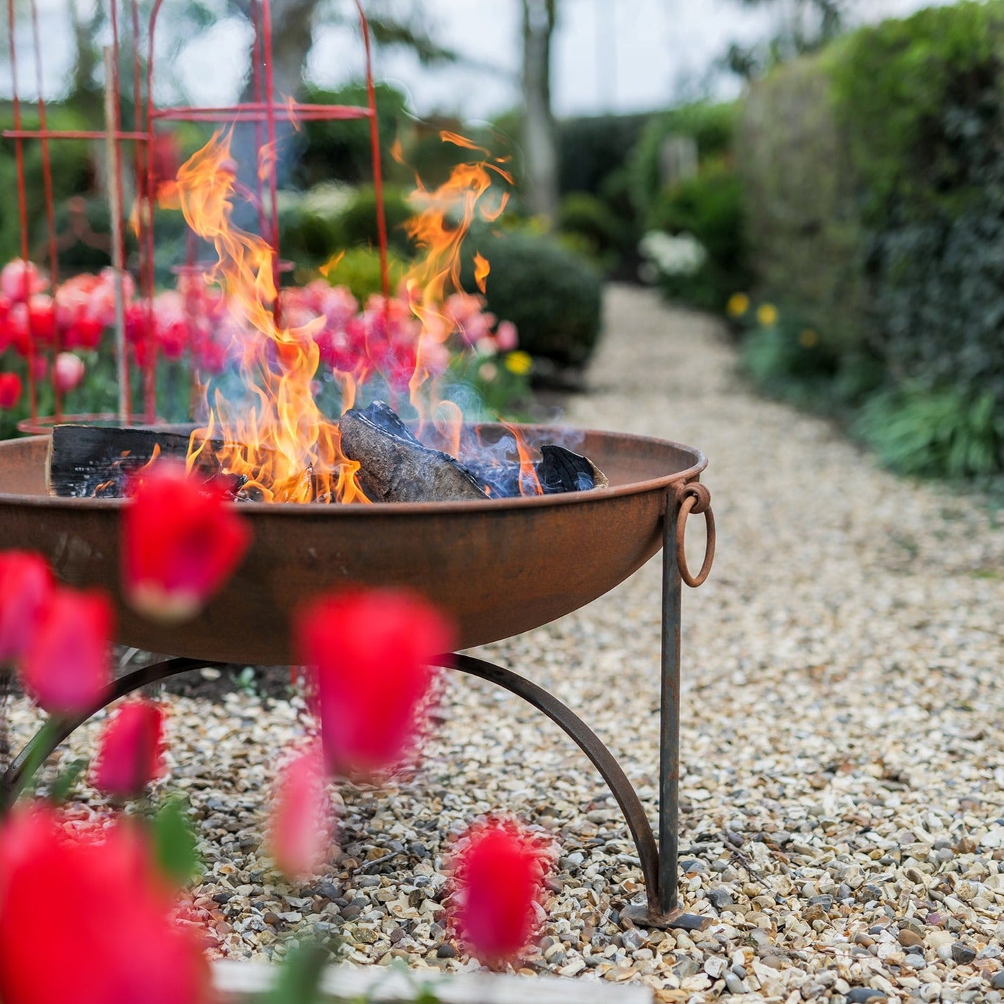 Plain Jane Fire Bowl with BBQ Rack (7707780088001)