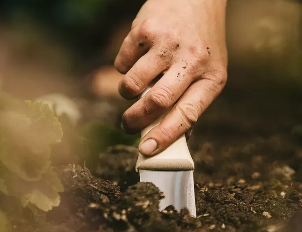 Niwaki Hori Hori Trowel Digging