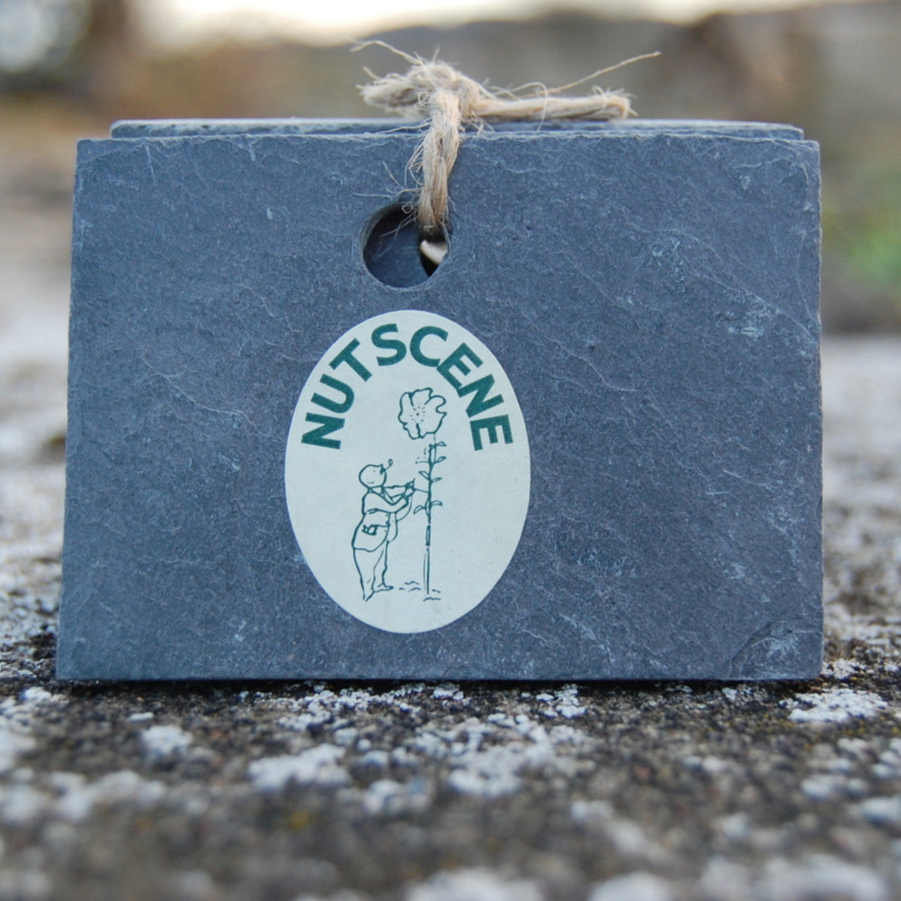 Nutscene Slate Hanging Plant Labels (7716857446593)