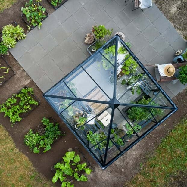Halls Qube Square Greenhouse (10229106671809)