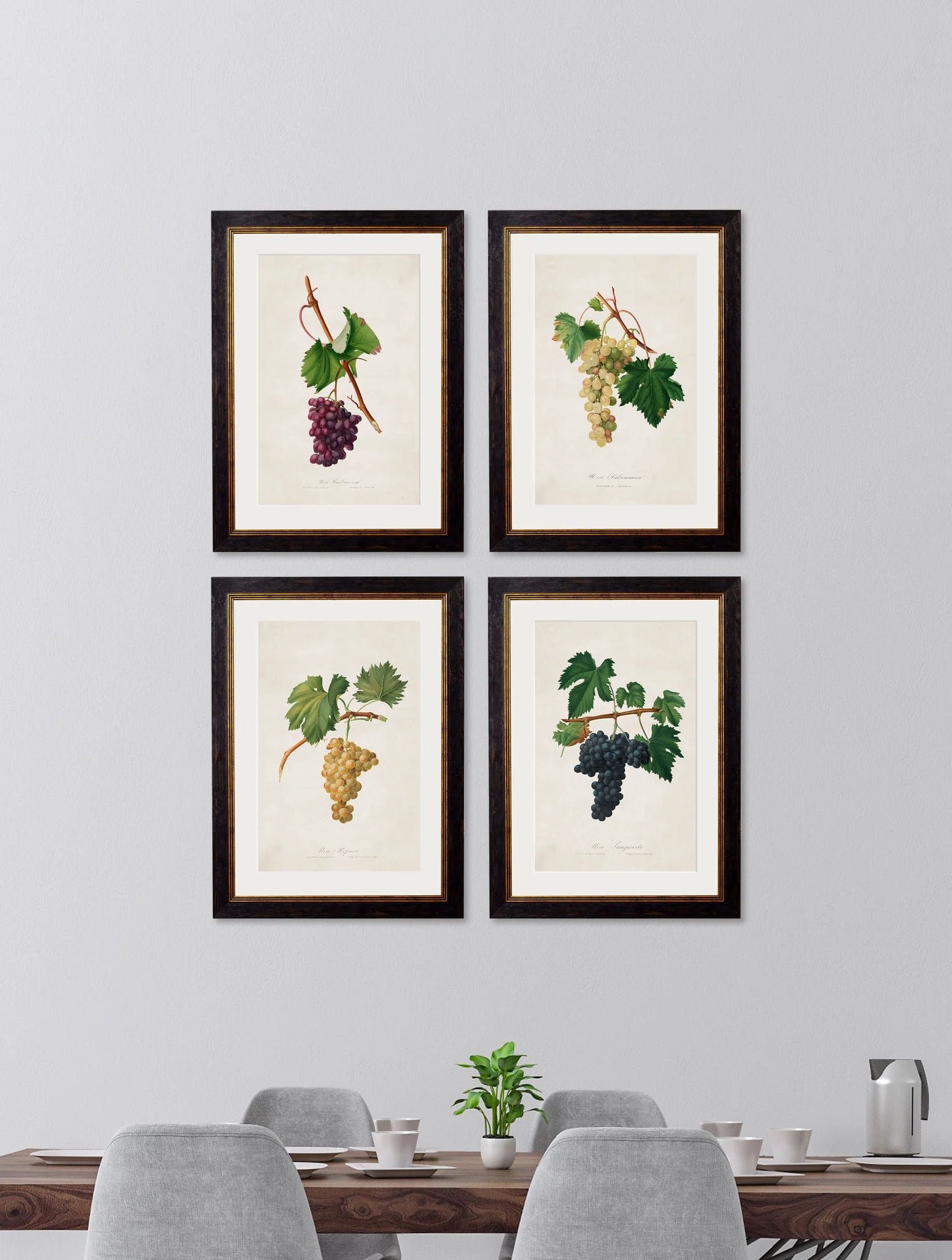 Botanical Grapes c.1817 Framed Prints (7702909714625)