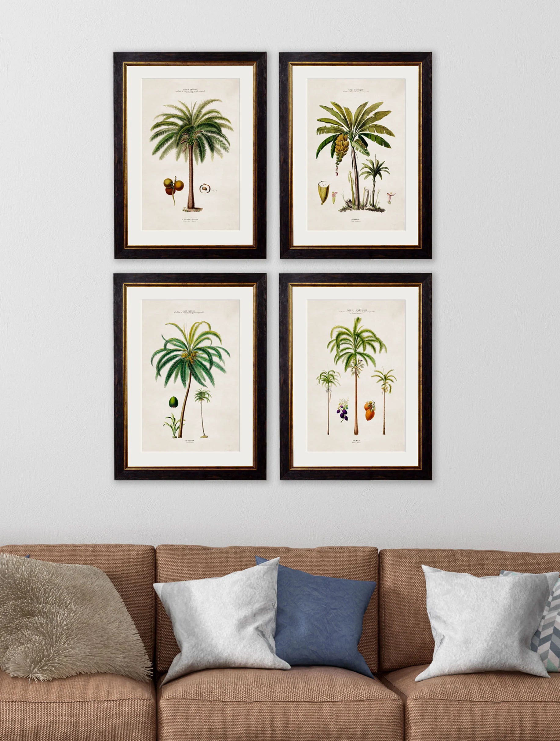 South American Palm Trees c.1843 Framed Prints (7702915350721)