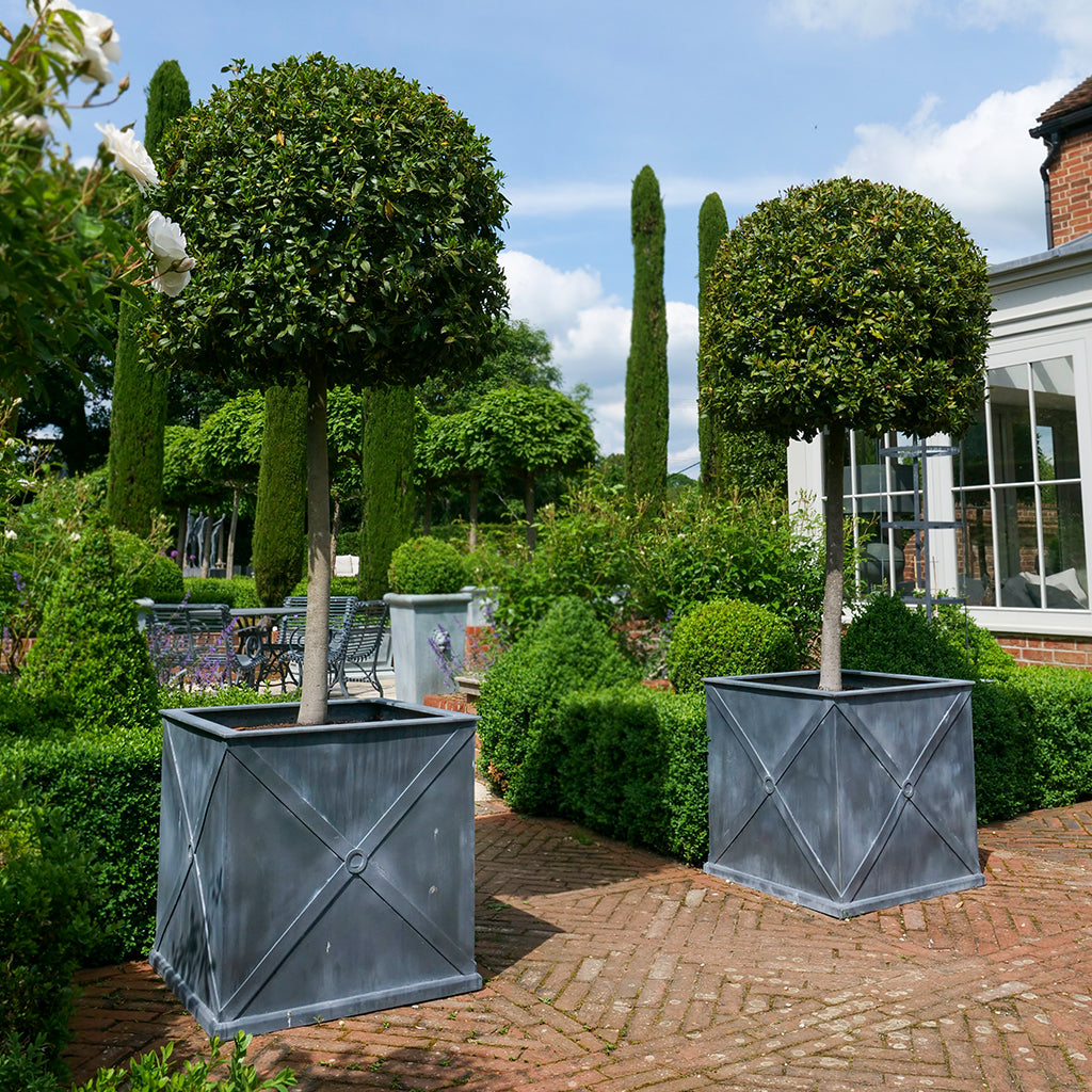 Mayfair Galvanised Steel Planter (10174939758785)