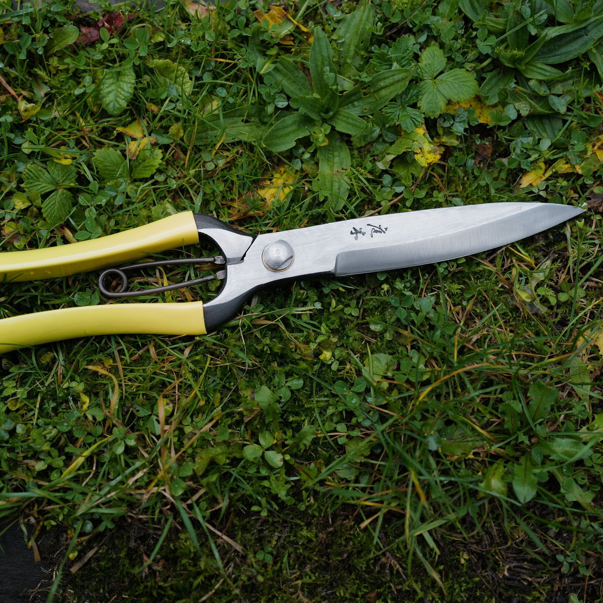 Niwaki GR Pro Barracuda Clippers (10247332921537)