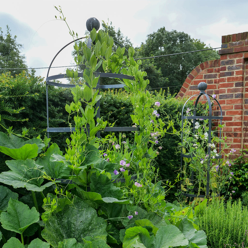 Round Galvanised Steel Obelisk Plant Support (10172707897537)