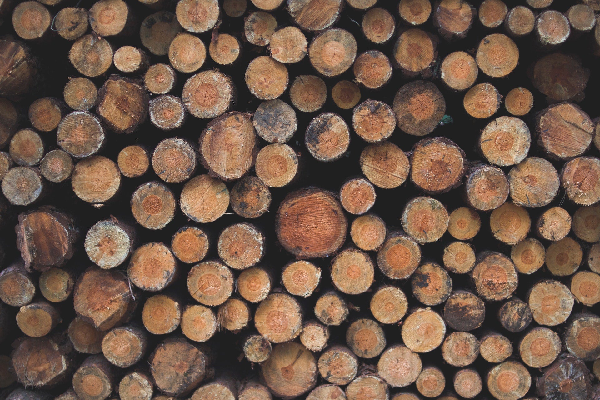 Outdoor log rack: Keeping firewood neatly arranged for convenient use.