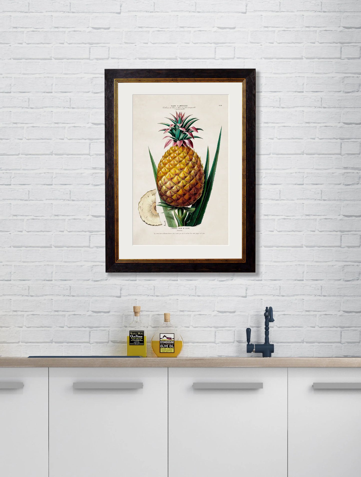 Pineapple Plant c.1831 Framed Print (7702926295233)