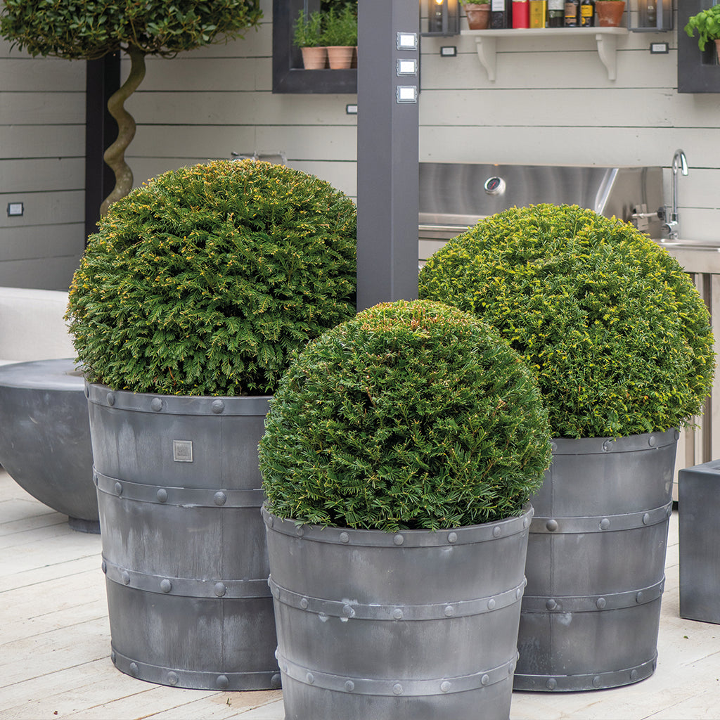 Porto Galvanised Steel Planter (10175227756737)