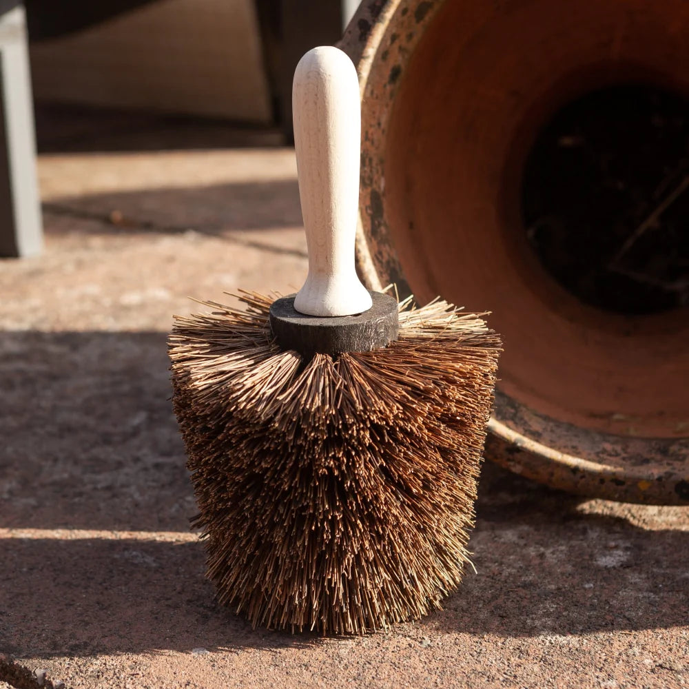 Nutscene Plant Pot Scrubbing Brush (7716841488577)