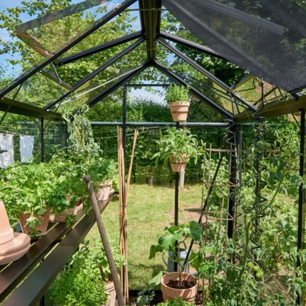 Halls Cotswold Birdlip Greenhouse (10229134360769)