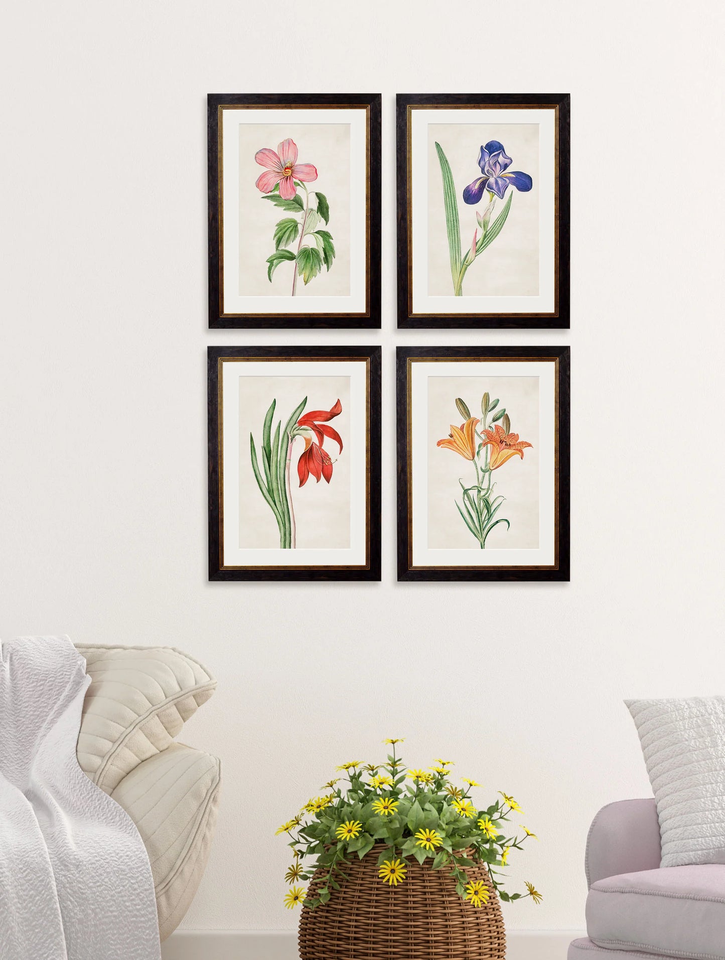 Flowering Plants c.1780 Framed Prints (7702910795969)