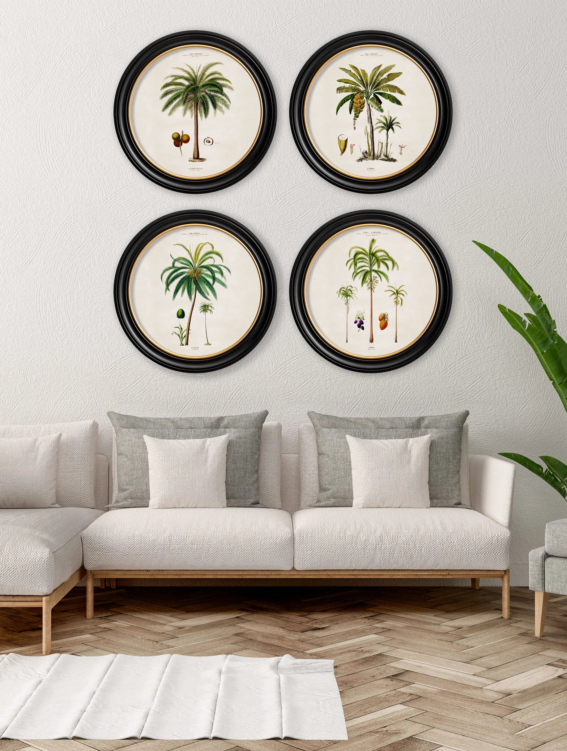 South American Palm Trees c.1843 Round Framed Prints (7702940713153)