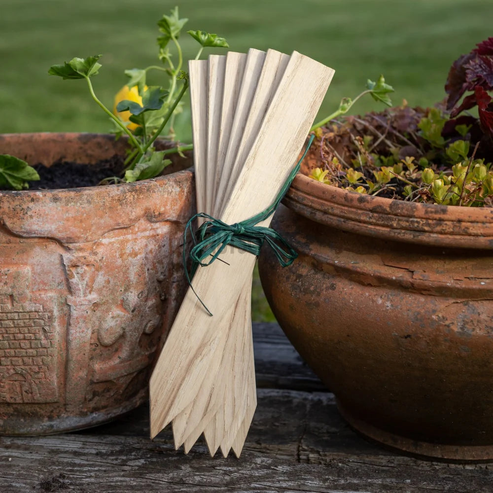 Nutscene Wooden Plant Labels with Pencil (7716846764225)