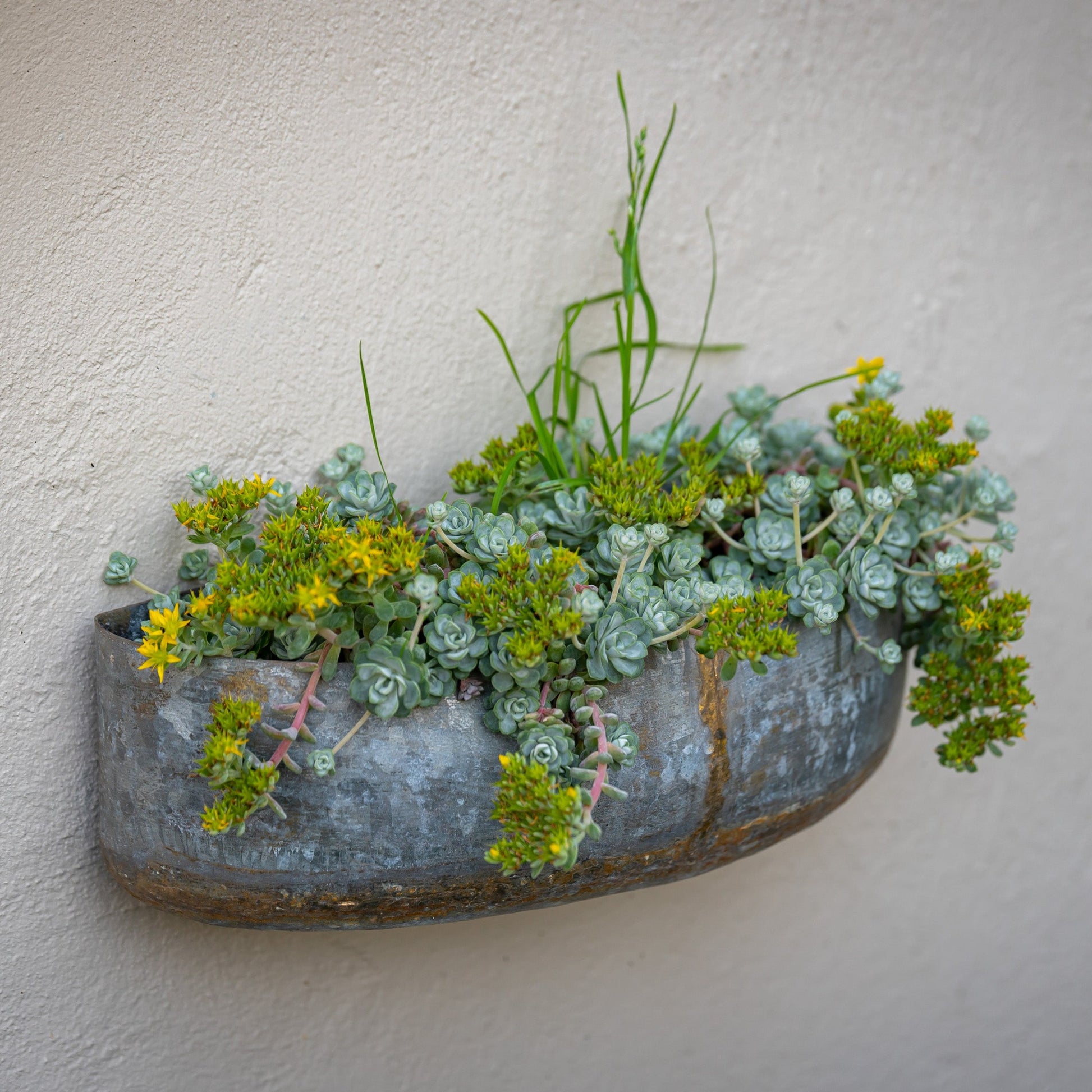 Cardamom Pod Wall Planter Set of Three (7564991332545)