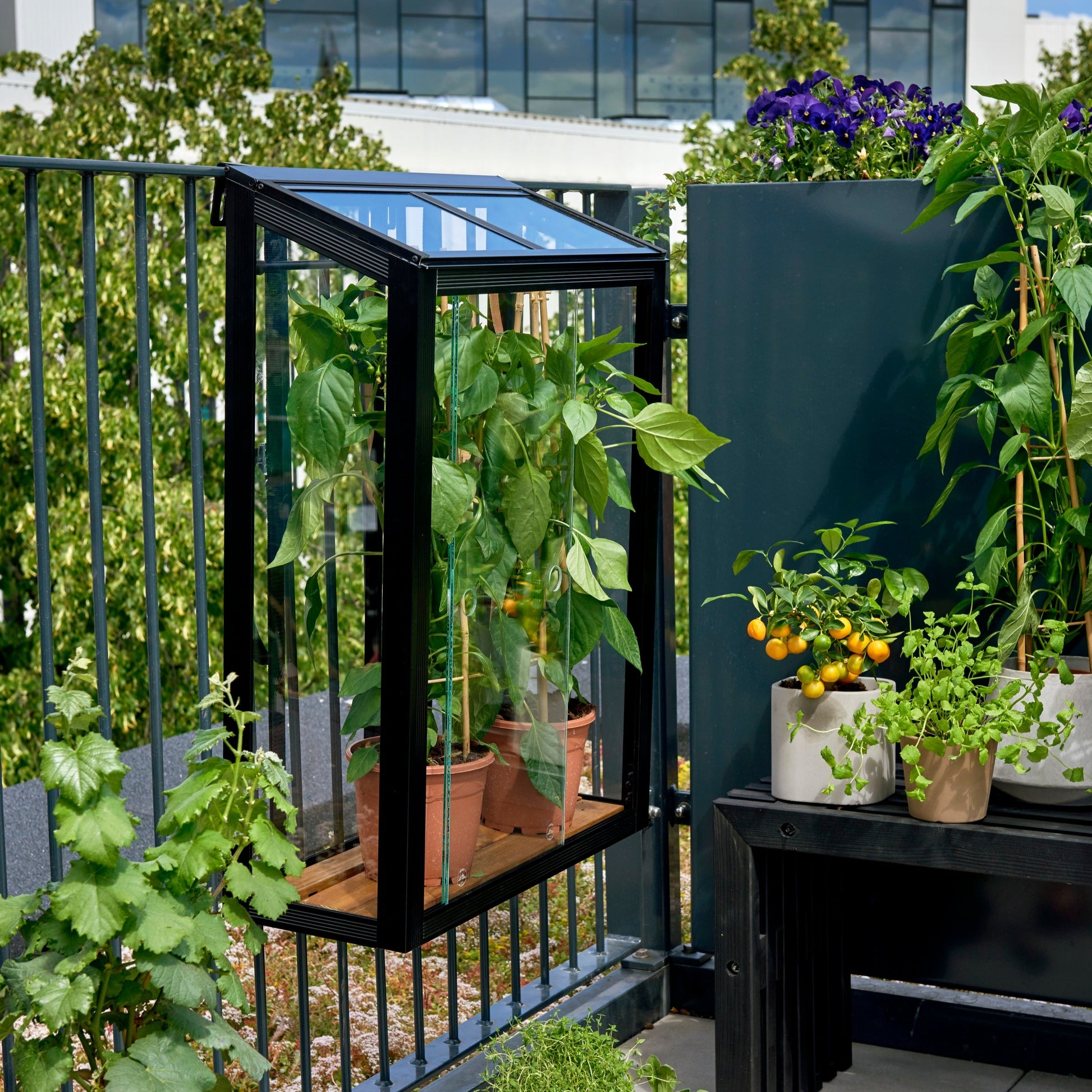 Urban Grow Juliana Greenhouse - Mountable to balcony rails or walls, maximising space efficiency. (3784369242172)
