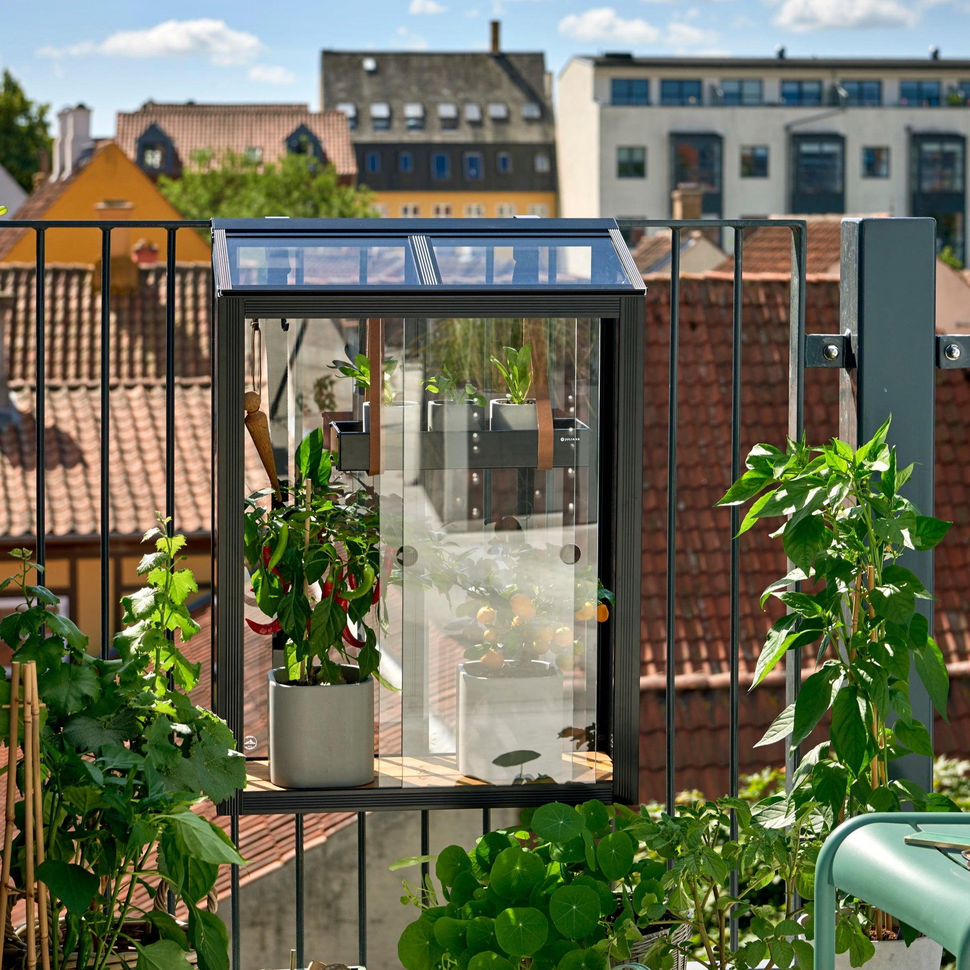Compact Balcony Greenhouse - Perfect solution for limited space gardening. (3784369242172)