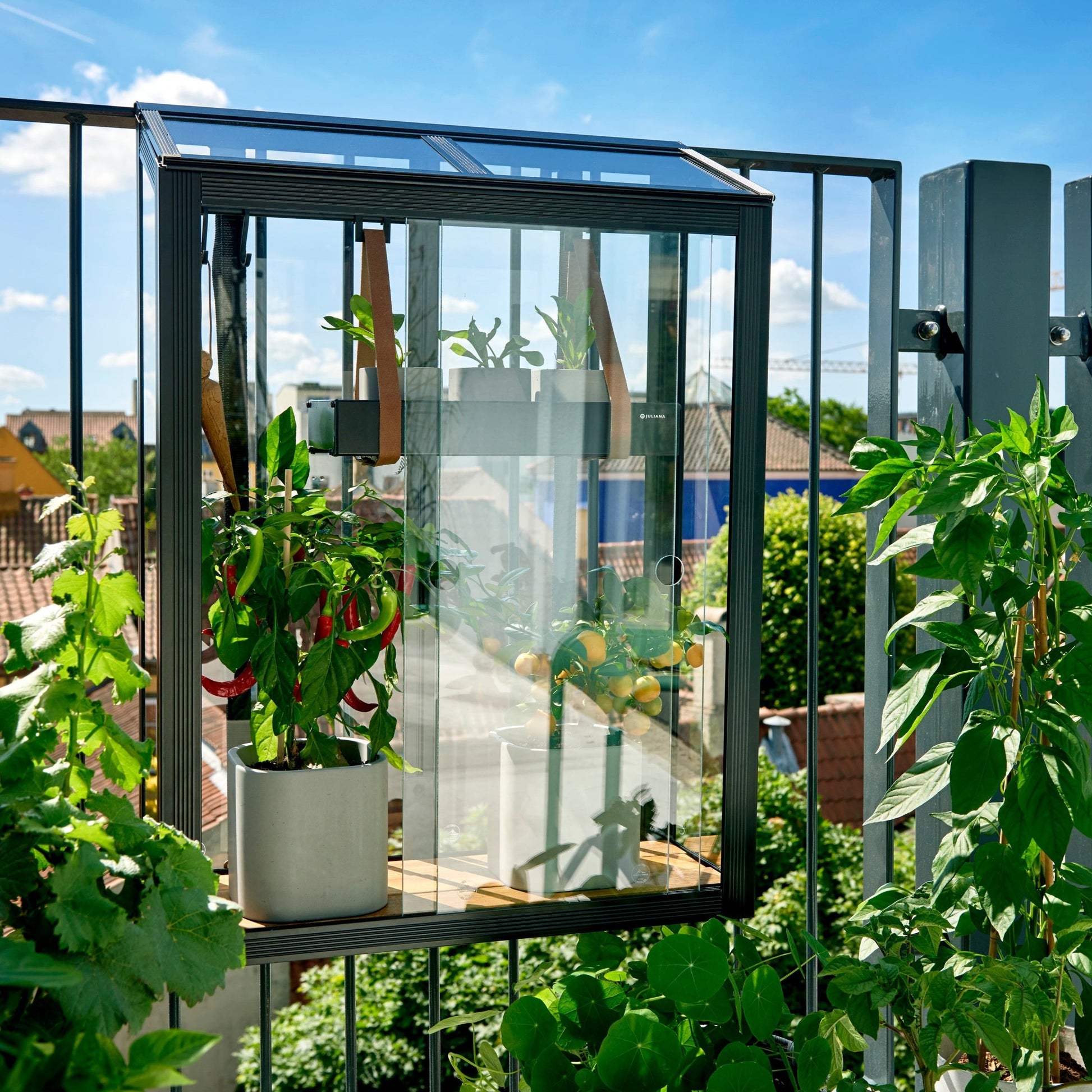 Juliana Balcony Greenhouse (3784369242172)