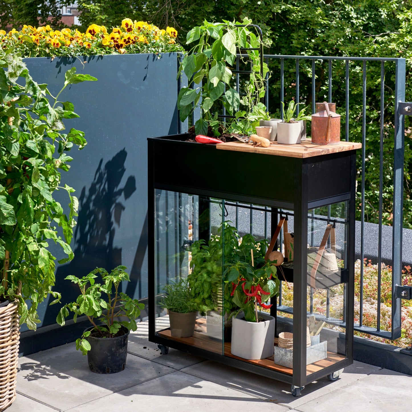 Juliana Vertical Greenhouse (3784355020860)