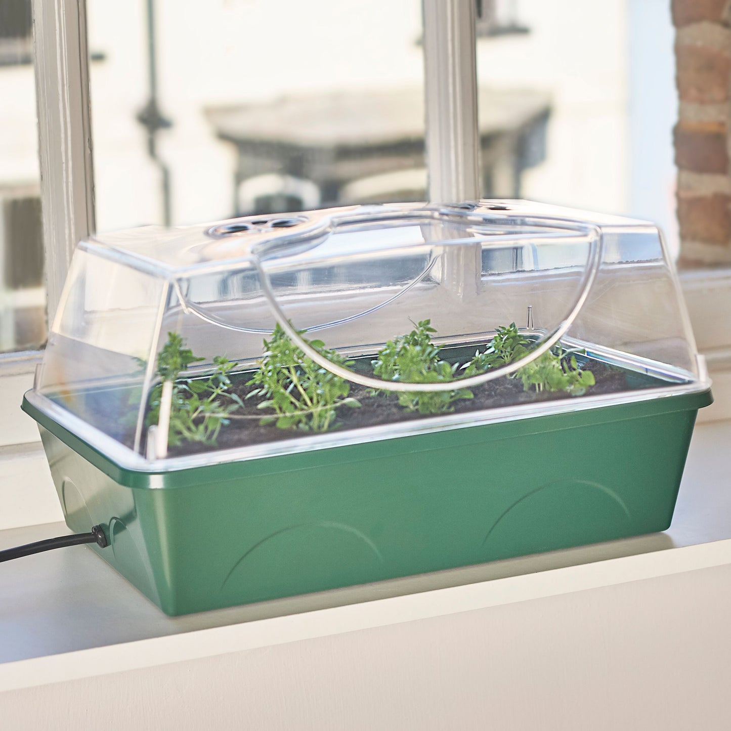 EarlyGrow Heated Medium Propagator (755129516092)