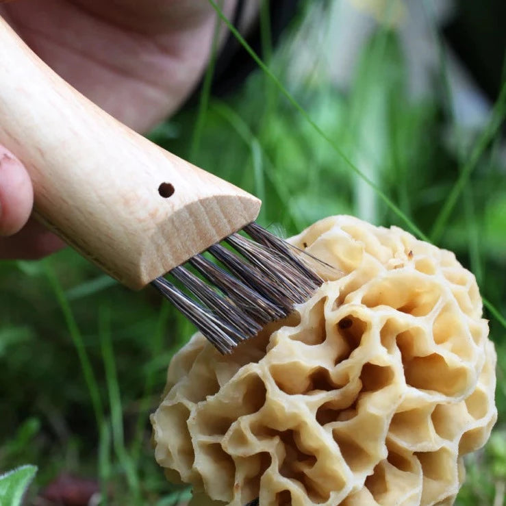 Opinel No.8 Mushroom Knife (7543704944833)